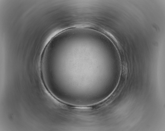 X0000112901487200908211505