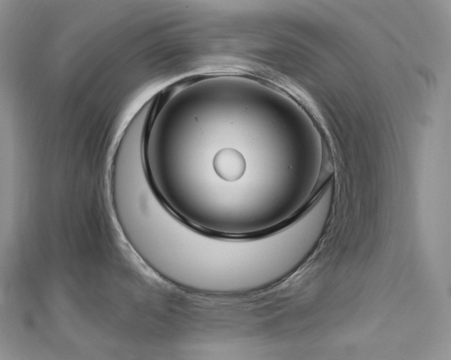 X0000112901488200908211505