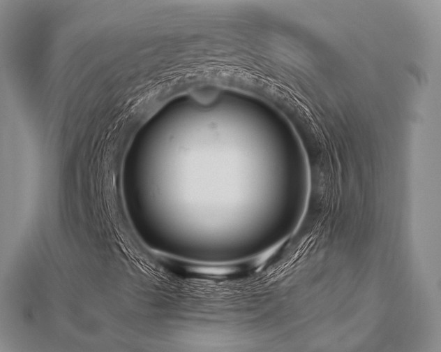 X0000112901489200908211504
