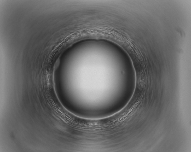 X0000112901490200908211504