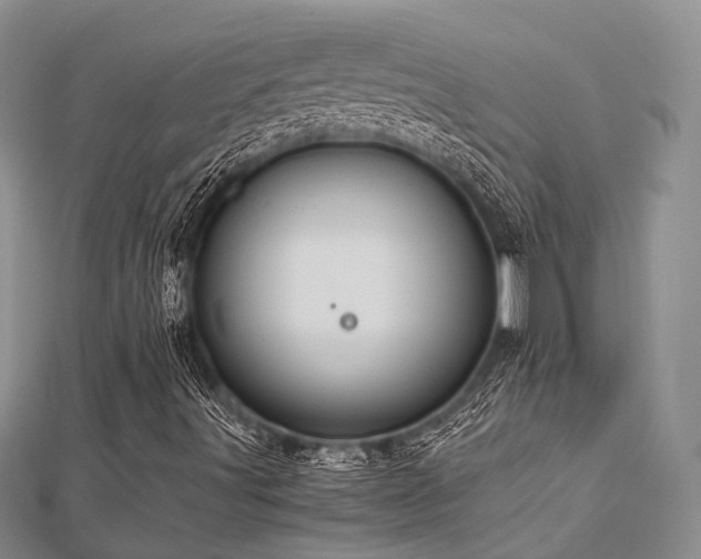 X0000112901491200908211504
