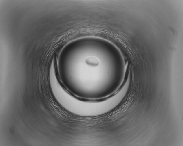X0000112901492200908211504