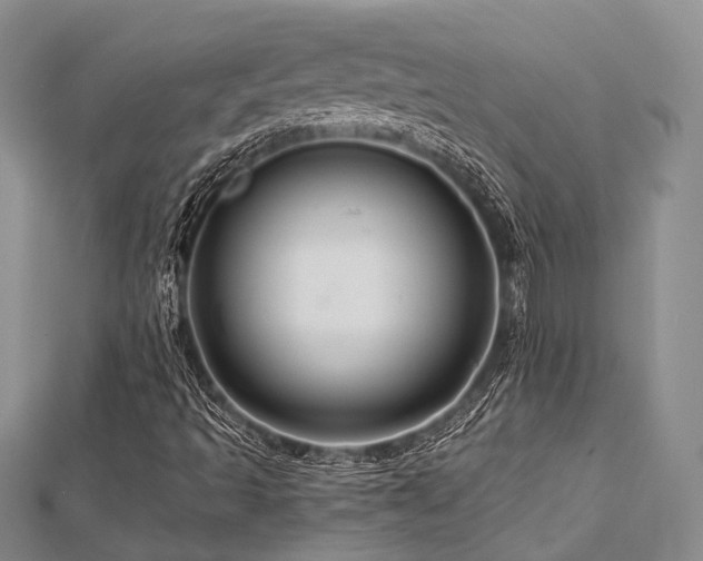 X0000112901493200908211504