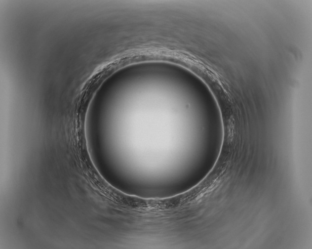 X0000112901494200908211504
