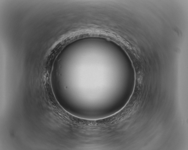 X0000112901495200908211504