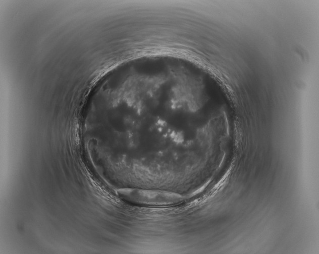 X0000112901497200908211504