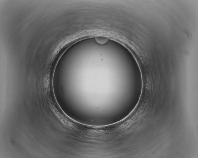 X0000112901499200908211504
