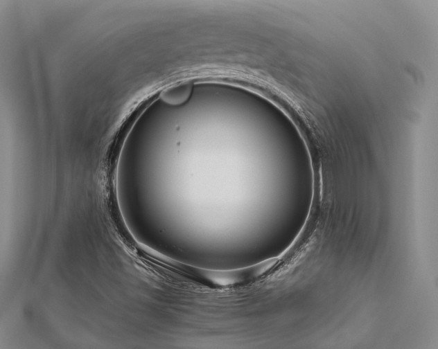 X0000112901501200908211504