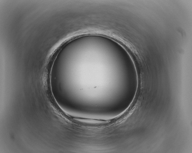 X0000112901502200908211504