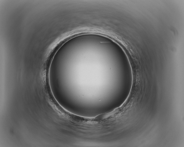 X0000112901503200908211504