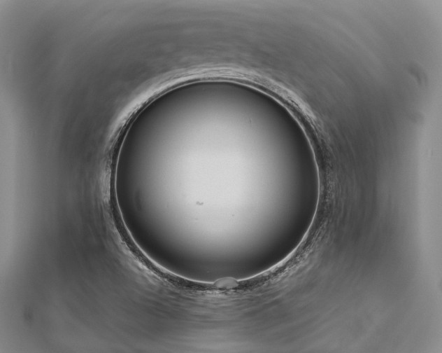 X0000112901504200908211504