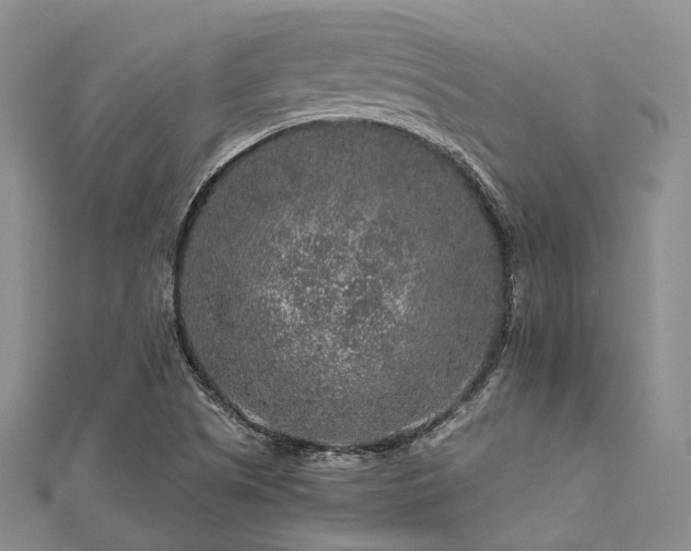 X0000112901505200908211504