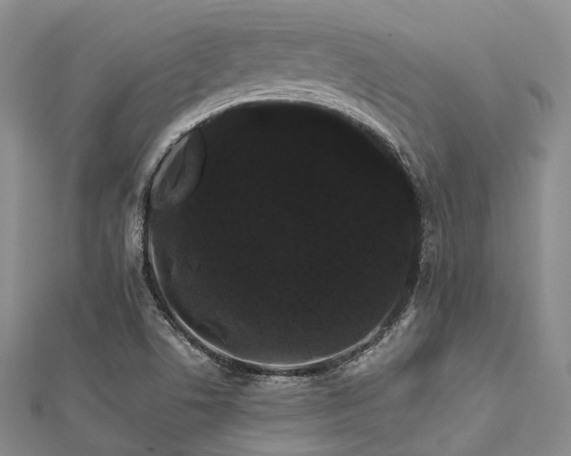 X0000112901506200908211504