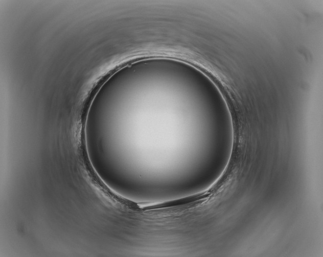 X0000112901507200908211504