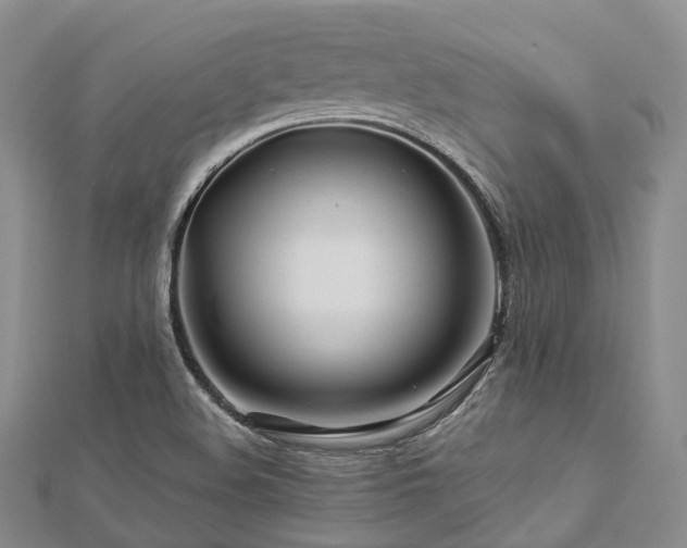 X0000112901508200908211504