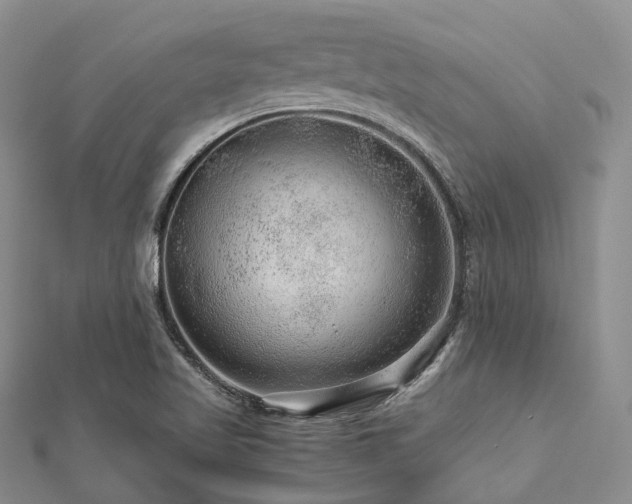 X0000112901509200908211504