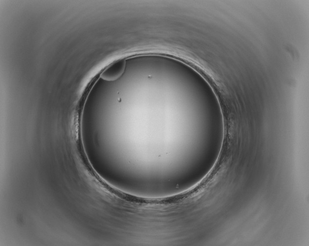 X0000112901510200908211504
