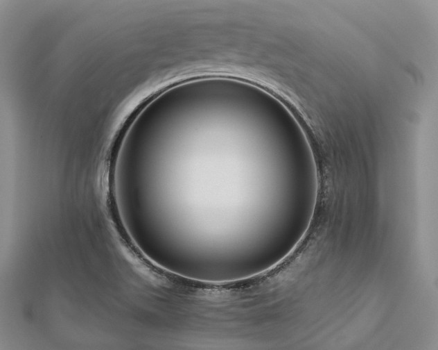 X0000112901511200908211504
