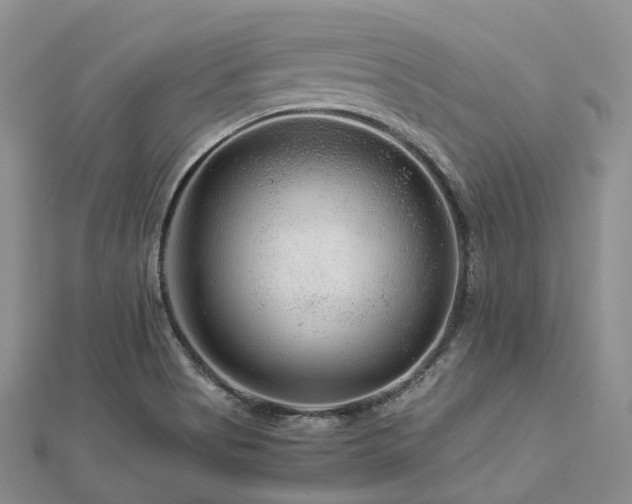 X0000112901513200908211504