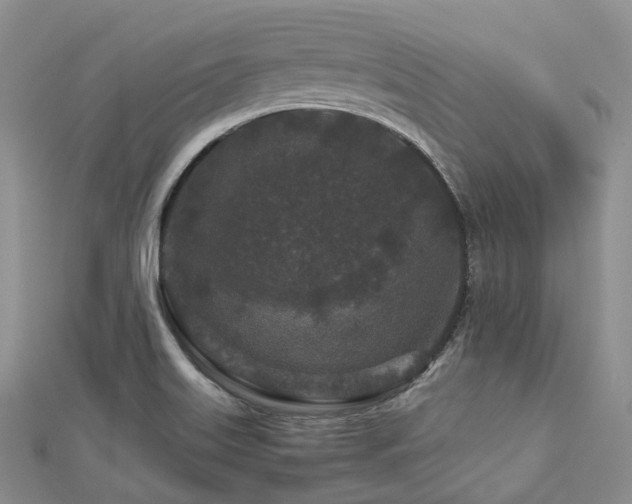 X0000112901515200908211504