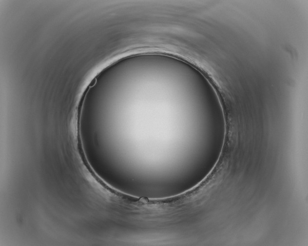 X0000112901516200908211504