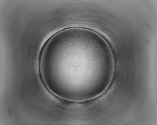 X0000112901517200908211504