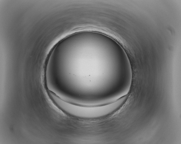 X0000112901518200908211504