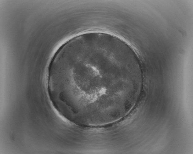X0000112901519200908211504