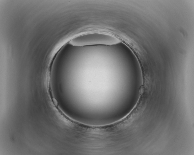 X0000112901520200908211504