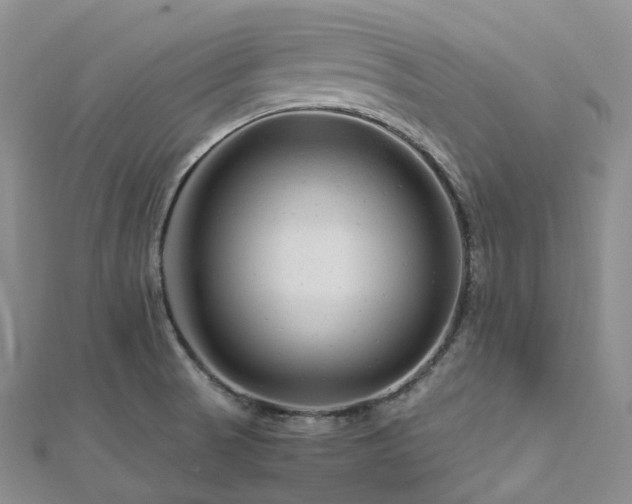X0000112901521200908211504
