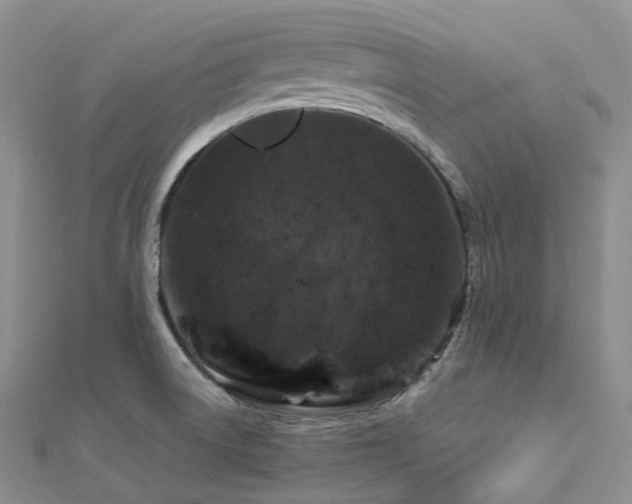 X0000112901522200908211504