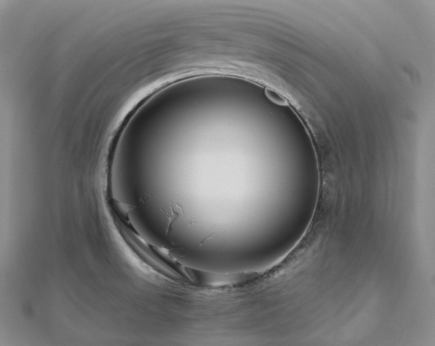 X0000112901523200908211504