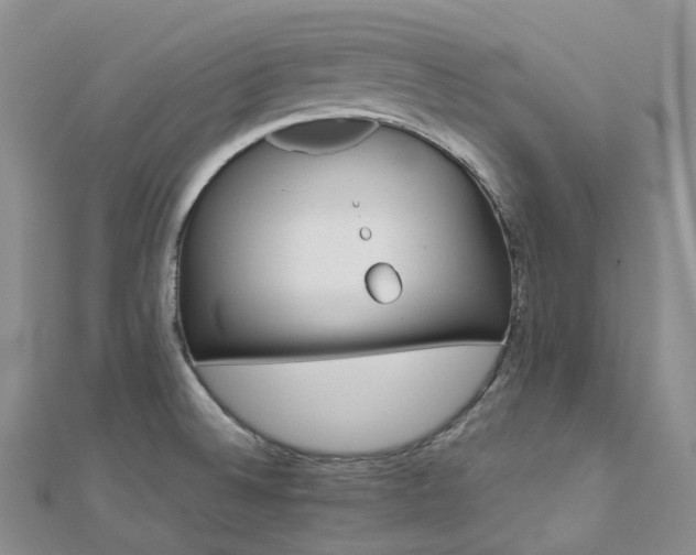 X0000112901524200908211504