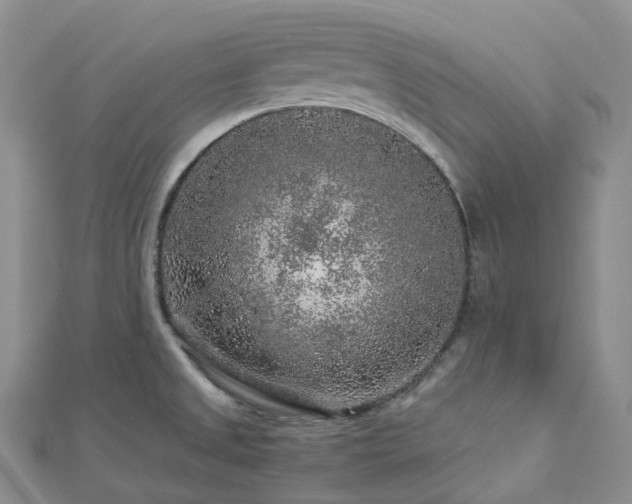 X0000112901525200908211504