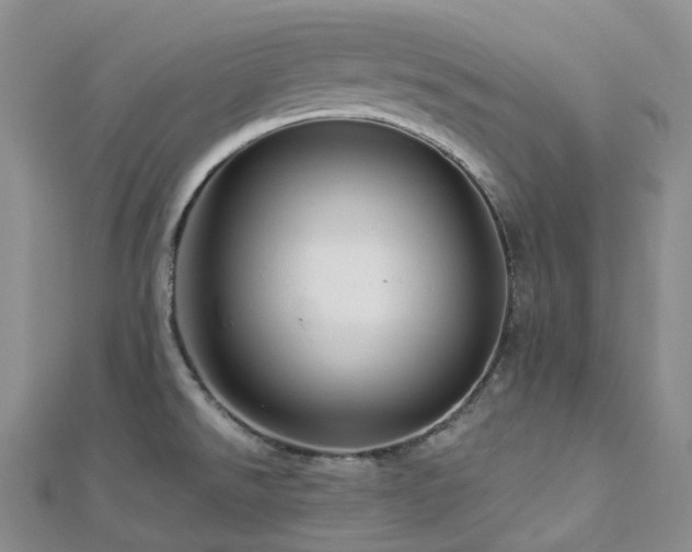 X0000112901526200908211504