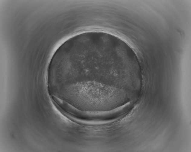 X0000112901527200908211505