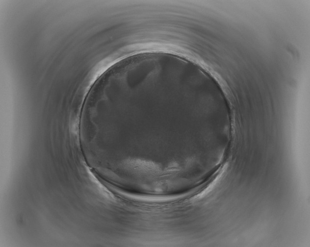 X0000112901529200908211505