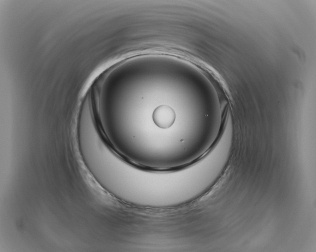 X0000112901530200908211505