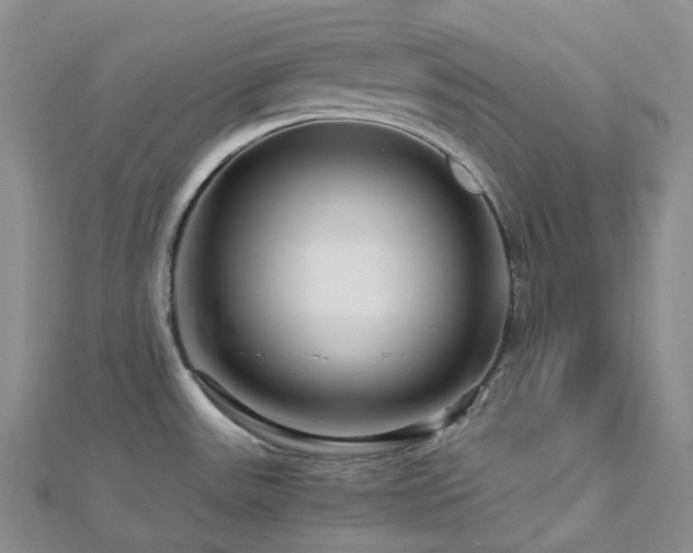 X0000112901531200908211505