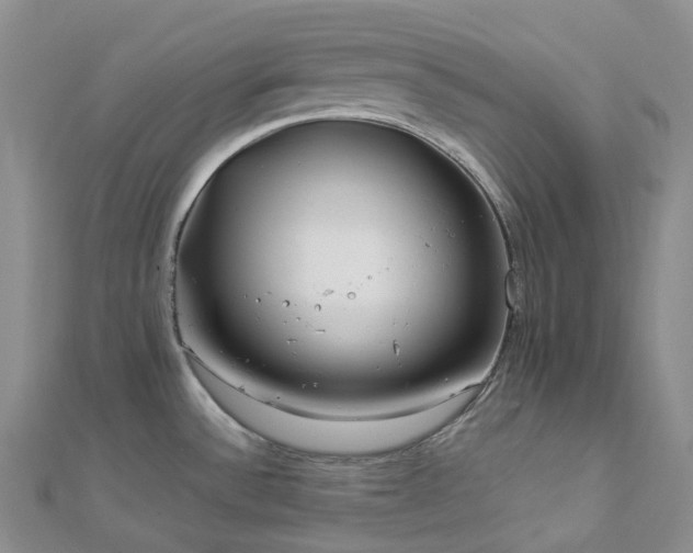 X0000112901532200908211505