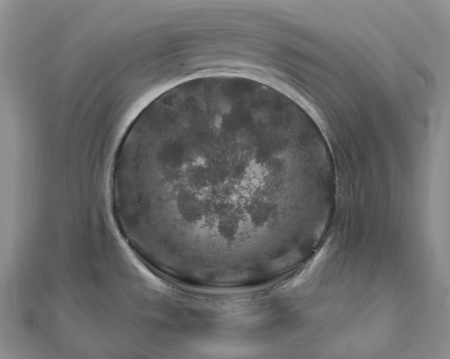 X0000112901533200908211505