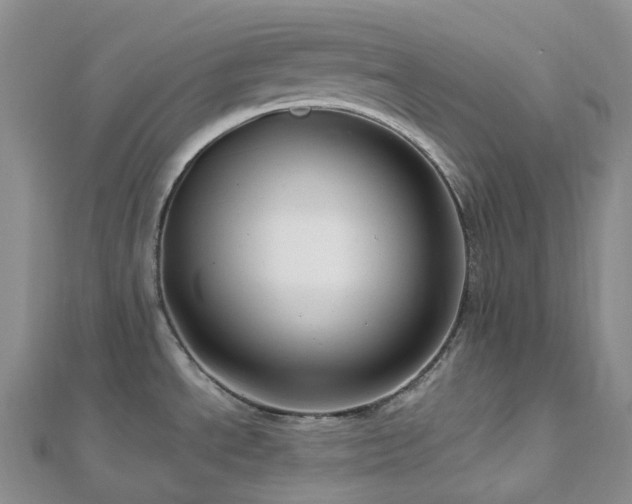 X0000112901534200908211505