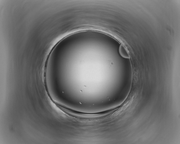X0000112901535200908211505