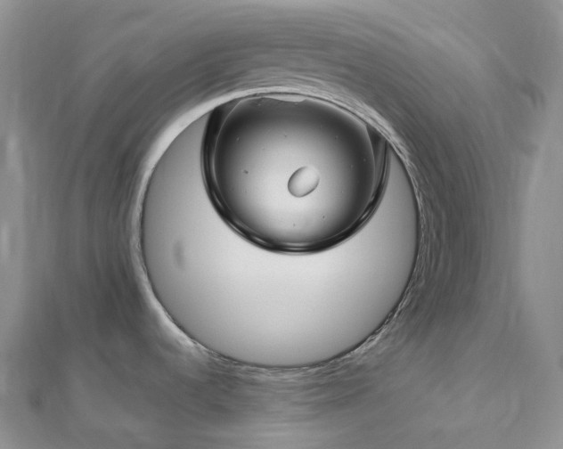 X0000112901536200908211505
