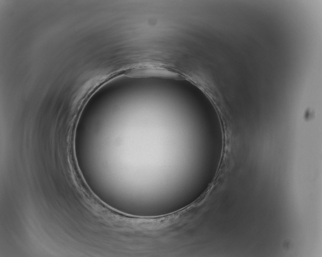 X0000112900001200908281737