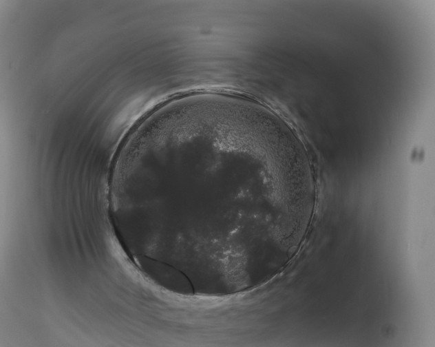 X0000112900002200908281737