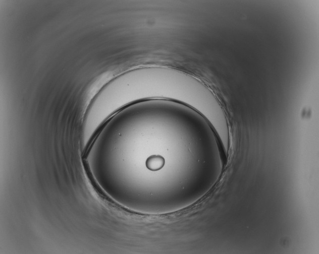 X0000112900003200908281737