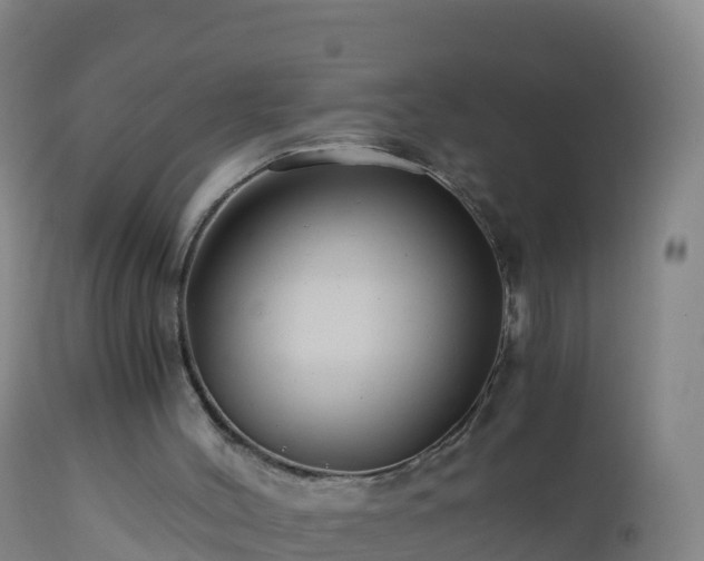 X0000112900004200908281737