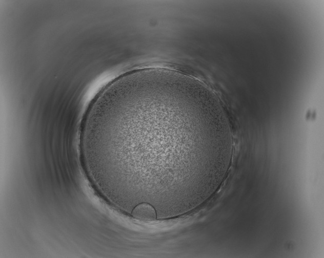 X0000112900006200908281737