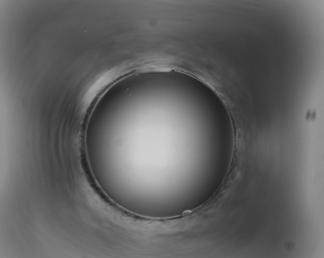 X0000112900007200908281737